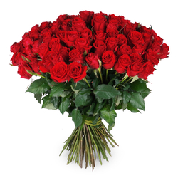 Bukiet 100 róż